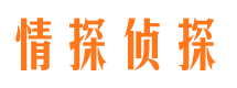 光山出轨调查